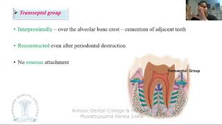 PERIODONTAL LIGAMENT [upl. by Aicile]