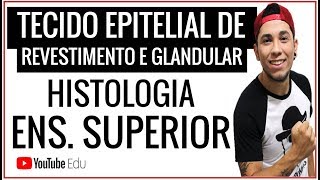 Tecido Epitelial  REVESTIMENTO E GLANDULAR │Aula de Biologia Ensino Superior  Prof Patrick Gomes [upl. by Avika]