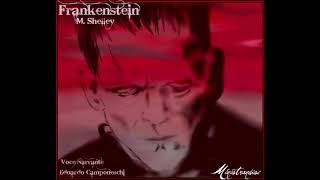 Frankenstein M Shelley  Audiolibro Completo [upl. by Greenburg]