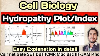 CellBiology Hydropathy Plot csirnet csir Hydropathy plot [upl. by Klug]