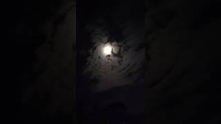 Moonlight  sky  night  viralvideo shortvidio moon sky video love [upl. by Hausmann234]