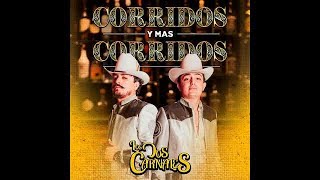 Los Dos Carnales  El Corrido de el Cholo [upl. by Liddy]