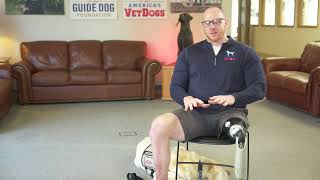 Meet Joe Worley amp his service dog Galaxie [upl. by Dlonyer]