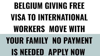 How To Apply For Belgium Work Visa 2024 Job Opportunities [upl. by Ibby]