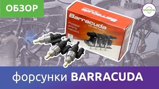 Форсунки ГБО  BARRACUDA Краткий обзор [upl. by Maxentia550]