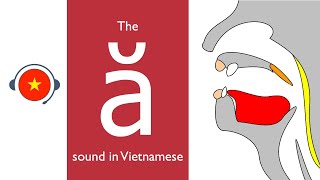 🇻🇳 Vietnamese  ă sound Learn sound system in Vietnamese Vietsound [upl. by Medora]