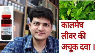 Kalmegh  Homeopathic Medicine Kalmegh  लीवर की खराबी बदहजमी ज्वर में लाभदायक । [upl. by Odelle]