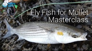 Part 2  Mullet Masterclass  UK Saltwater fly fishing [upl. by Weasner]