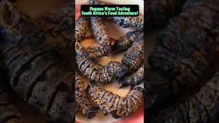 Would You Eat Worms South Africa’s Mopane Delicacy 🐛😱 [upl. by Oer]