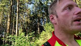 Forstreich Tr24 HD und Sk 50 mit Stihl 500i im Einsatz [upl. by Broek]