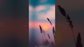 Aye Aye Aye Song Edit WhatsApp Status💖⚡ [upl. by Gaither]