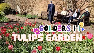 Tulips Garden Golders Hills Park London [upl. by Aseral]