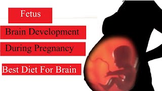 Baby Brain Development in Pregnancy  प्रेगनेंसी में बच्चे के दिमाग को कैसे सुरक्षित रखे [upl. by Eirrot]