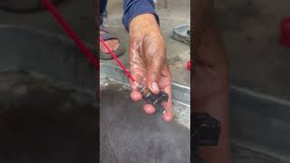 Injector Wash alsharifauto mz shani shortvideo catalyticconverter fix avarage Noise toyota [upl. by Enitsirc]