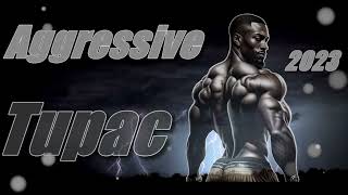 2Pac Aggressive Mix 2023  Intense 2Pac Rap Mix feat Eminem [upl. by Fugere867]