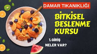 1 GİRİŞ Damar Tıkanıklığı Bitkisel Beslenme Sağlık ProfDrSerdar Akgün [upl. by Elleon900]