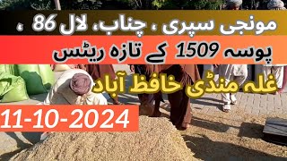 مونجی سپری لال 86 اور پھوسہ 1509 کے تازہ ریٹس غلہ منڈی حافظ آباد [upl. by Evy877]