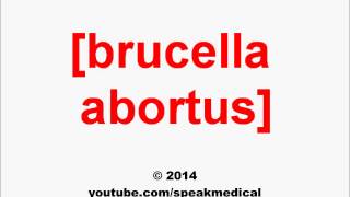 Pronounce Brucella abortus  SpeakMedical [upl. by Calesta]