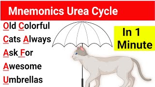 Mnemonic Urea Cycle  Urea Cycle Mnemonic USMLE  Urea Cycle Mnemonic  Urea Cycle trick [upl. by Suired]