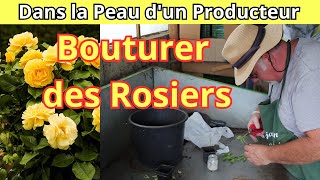 Les Étapes Essentielles pour Bouturer des Rosiers [upl. by Anitsirhc]