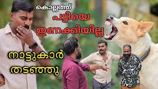 നീ ഇണക്കിട്ട് പോയാൽ മതി Dog challenge Leash Talks [upl. by Tymes]