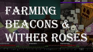 Farming Beacons amp Wither Roses [upl. by Hey]