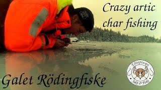 Galet Röding Fiske  Crazy Arctic Char Fishing [upl. by Eerrahs356]