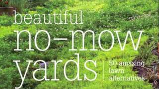 Beautiful NoMow Yards 50 Amazing Lawn Alternatives [upl. by Chemarin]