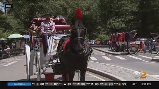 New proposal aims to get rid of horsedrawn carriages in NYC [upl. by Idnis]