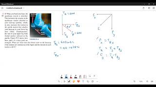 How much force the femur exert on the knee cap when the tendons are oriented as in figure [upl. by Elspet]