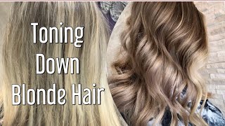 Toning Down Blonde Hair  MUSHROOM BROWN Tone [upl. by Egroeg990]