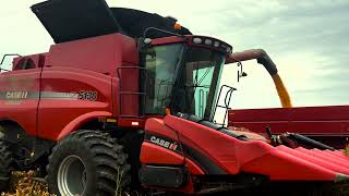 Corn Harvest 2023 at Wehmeyer Farms in Southern Illinois [upl. by Suoicerpal]