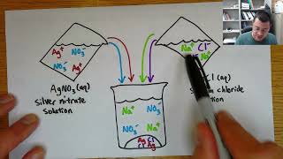 Net ionic equations [upl. by Alvord692]