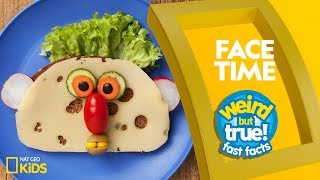 Face Time  Weird But True—Fast Facts [upl. by Vasquez]