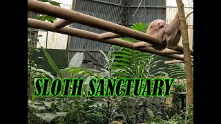 SELVATURA PARK SLOTH SANCTUARY [upl. by Roz]