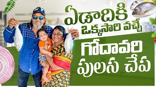 Year Ki Only One Time Vache Godavari Pulasa 😋 By Sahara Family vlogs [upl. by Iggie]