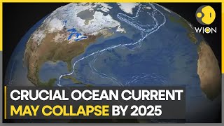 Gulf Stream Atlantic oceanic currents could collapse as early as 2025 Study  WION Climate Tracker [upl. by Rennerb]