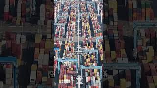 Aerial photography of the worlds largest port Ningbo Zhoushan Portshorts shipping cargoship [upl. by Petulah]