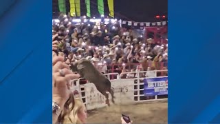 Bull jumps fence at Sisters Rodeo [upl. by Astera735]