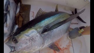 Episode 17  Offshore Fishing For Tuna In New Jersey [upl. by Murrell]