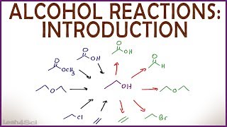 Introduction to Alcohol Properties and Reactions [upl. by Lerim227]