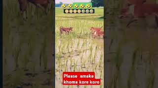 Please amake khoma koro  fany short comedy ✅✅ [upl. by Holland148]