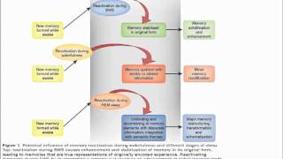 Prof Jacqueline London quotTherapeutical Approach for Trisomy 21 amp Alzheimer disease [upl. by Aizitel439]