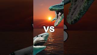 Megalodon vs Mosasaur Who Would Win in a Battle of the Ancient Seas shorts [upl. by Miguelita]