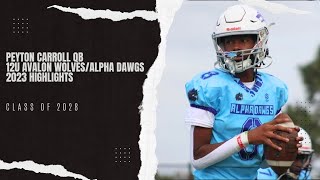 Peyton Carroll 5⭐️ QB 2023 Highlights 12U Avalon WolvesAlpha Dawgs [upl. by Onaicul]