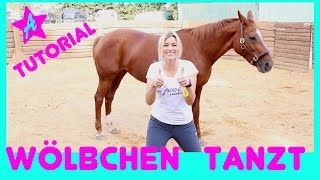 Wölbchen lernt tanzen I Freiheitsdressur Drehung I Tutorial Zirkuslektion I Horse Dance [upl. by Anul]