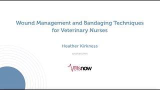 Wound Management and Bandaging Techniques for Veterinary Nurses [upl. by Dikmen]