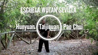 Hunyuan Taijiquan Pao Chui amp Fa Jing  Wutan Sevilla [upl. by Anitsrik]