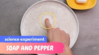 Soap and Pepper  SCIENCE EXPERIMENT [upl. by Anitsyrc]