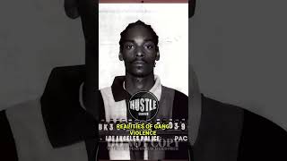 Snoop Dogg Before They Were Famous  Biography [upl. by Michell332]